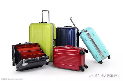 升學(xué)季箱約美麗包，啟航夢(mèng)想新篇章